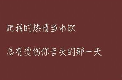 把我的热情当水饮,总有烫伤你舌头的那一天6