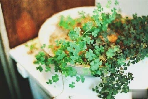 关于夏天的唯美文艺说说带图片 夏有彤云蔚然成风3