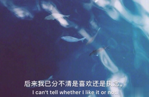 爱情说说大全一段话带图片女生版 2019爱情说说我的心里话加配图12
