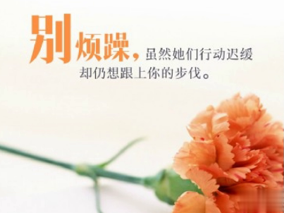 2021母亲节感恩祝福语带图片 母亲节的暖心话逗妈妈开心10