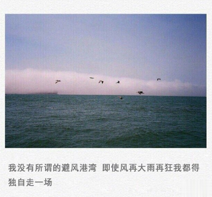 伤感的朋友圈说说配文字图片 一句话文艺悲伤句子12