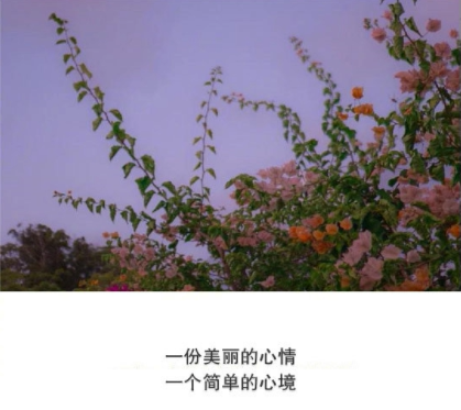 抖音经典短句带图片 洒脱精辟的经典说说9