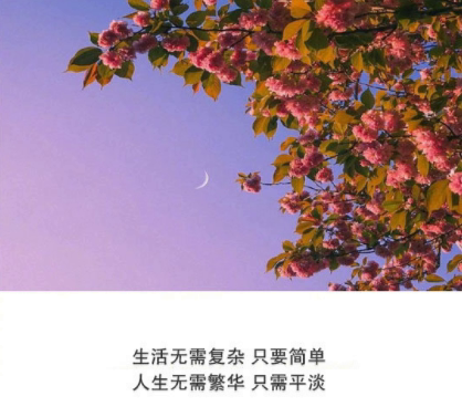 抖音经典短句带图片 洒脱精辟的经典说说11