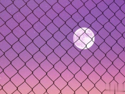 让人心动的甜句子配图 很甜很可爱的说说女生最爱5