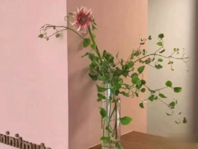 让人心动的甜句子配图 很甜很可爱的说说女生最爱14
