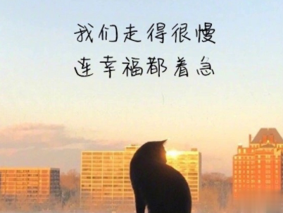 经典文艺短句子带图片 越努力越幸运5