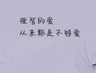 经典文艺短句子带图片 越努力越幸运4