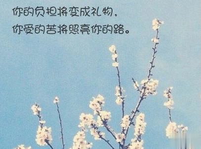 经典文艺短句子带图片 越努力越幸运13