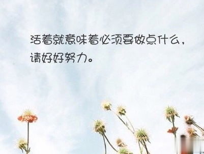 经典文艺短句子带图片 越努力越幸运9