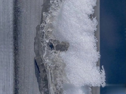 朋友圈下雪说说幽默带图片 下雪天搞笑说说短语9