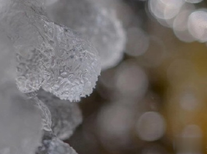 朋友圈下雪说说幽默带图片 下雪天搞笑说说短语10