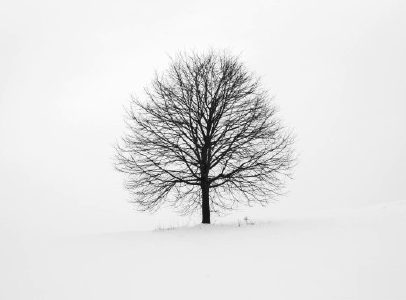 朋友圈下雪说说幽默带图片 下雪天搞笑说说短语5