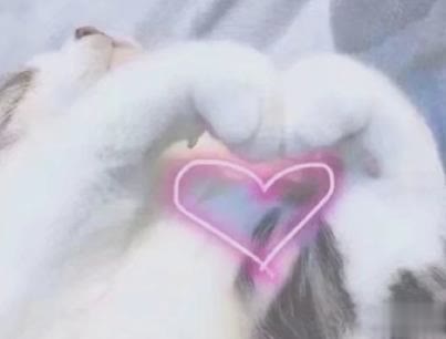 撩人浪漫的情话说说带图片 你这么甜我真想舔舔11