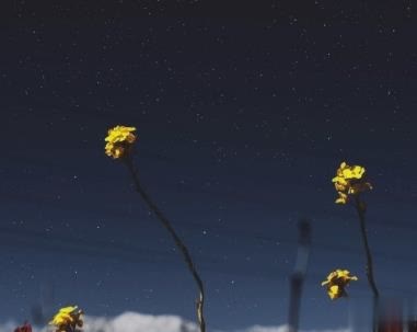 朋友圈心痛心碎的说说带图片 内心疼痛的悲伤句子2