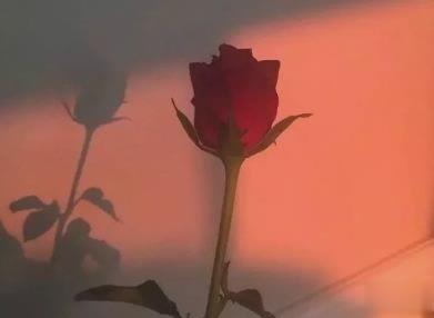 女生朋友圈伤心说说带图片 想不开很难过的心情说说12