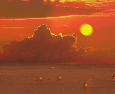 情侣秀恩爱经典短句带图片 爱情语录浪漫暖心3