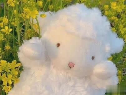 送给高考生的励志文案 好好学习励志说说带图片4