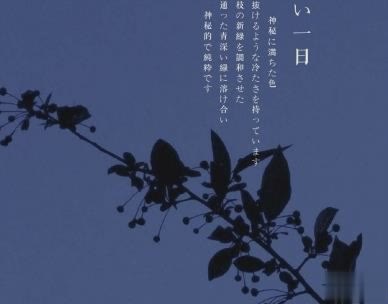 特别悲伤难过的说说配图 伤透心流干泪的心情说说5