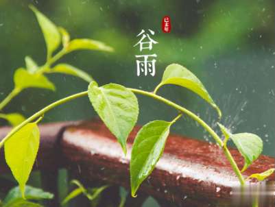 2020谷雨节气唯美说说配图 谷雨祝福唯美暖人心12