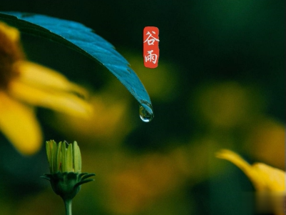 2020谷雨节气唯美说说配图 谷雨祝福唯美暖人心3