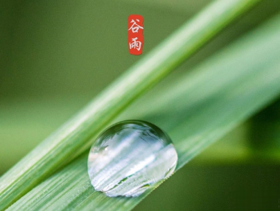2020谷雨节气唯美说说配图 谷雨祝福唯美暖人心