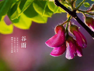 2020谷雨节气唯美说说配图 谷雨祝福唯美暖人心10