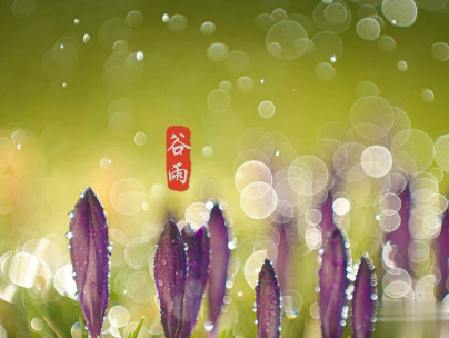 2020谷雨节气唯美说说配图 谷雨祝福唯美暖人心2