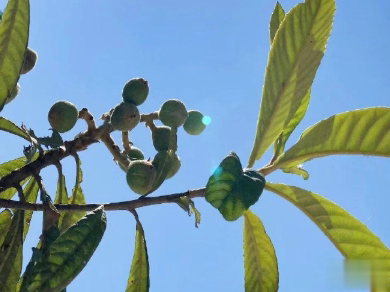 最火爱情英文短句带翻译 你稳稳的住在我心底2