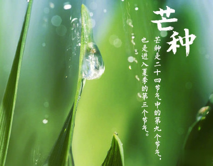 芒种朋友圈说说带图片 2020最新芒种祝福语说说3