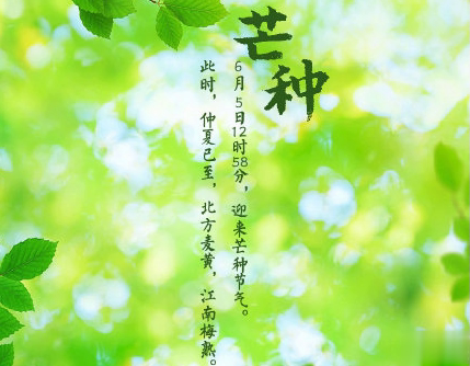 芒种朋友圈说说带图片 2020最新芒种祝福语说说9