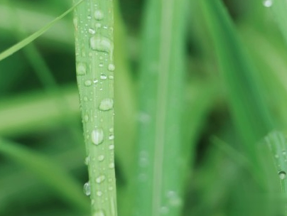 下雨天搞笑文案带图片 雨天可以发的幽默句子14