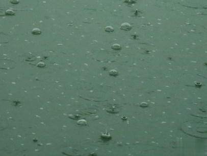 下雨天搞笑文案带图片 雨天可以发的幽默句子12