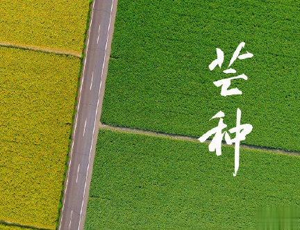 芒种朋友圈说说带图片 2020最新芒种祝福语说说7
