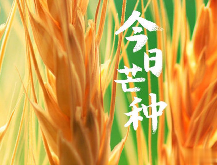 芒种朋友圈说说带图片 2020最新芒种祝福语说说