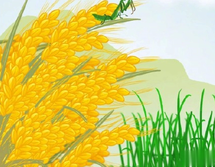 芒种朋友圈说说带图片 2020最新芒种祝福语说说12