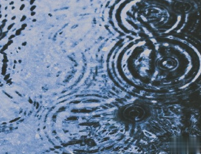 下雨天搞笑文案带图片 雨天可以发的幽默句子15