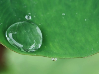 下雨天搞笑文案带图片 雨天可以发的幽默句子6