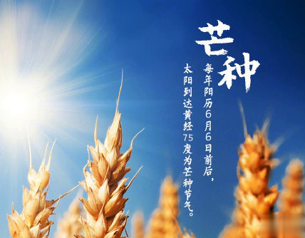 芒种朋友圈说说带图片 2020最新芒种祝福语说说6