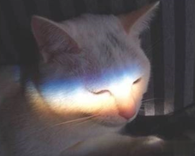 一个人深夜发的伤感说说带图片 聚散离合都在情理之中6