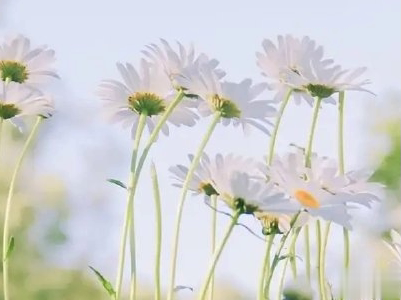 夏天说说唯美简单带图片 2020夏季干净短句15