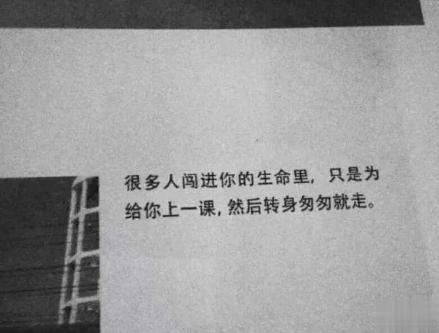八月早安励志正能量的句子带图片 乘风破浪让自己发光6