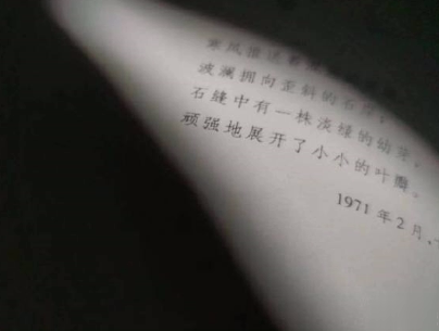 很酷的霸气句子带图片 最新霸气说说高冷范12