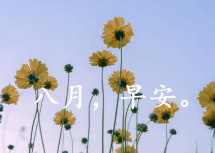 八月第一天经典朋友圈带图片说说 遇见八月遇见所有美好