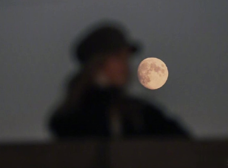 七夕情人节超甜暖心的句子 我喜欢的样子你都有2
