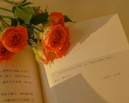一种说不出的心情句子低落 一次一次的小失望成了致命伤