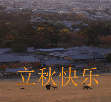 15句秋分已至的早安语录  秋喜秋安秋天你成熟了9