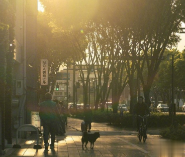 15句失望无助时激励你的的句子 生而有翼不要一生匍匐前进11