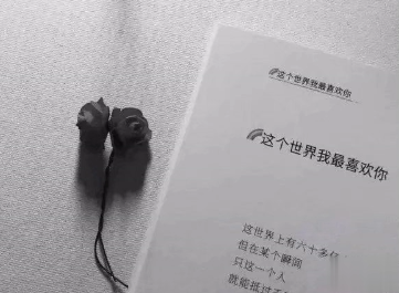 读一次就觉得很震撼的句子 人间的真话本来不多15