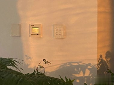 老舍先生通透走心的句子 越不肯努力便越自怜13