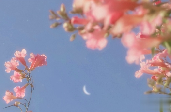 教师节个性图片带说说 做我们平淡岁月里的星辰9